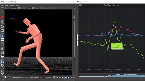 software image